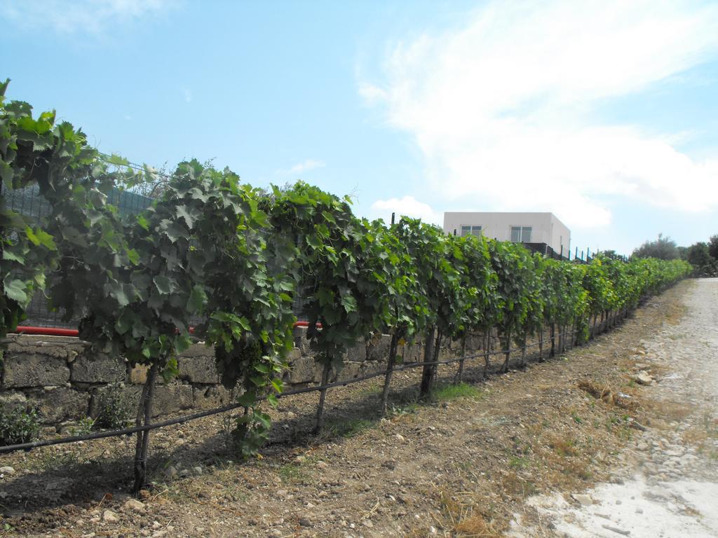 Agriturismoeloropizzuta Lido di Noto Exteriör bild