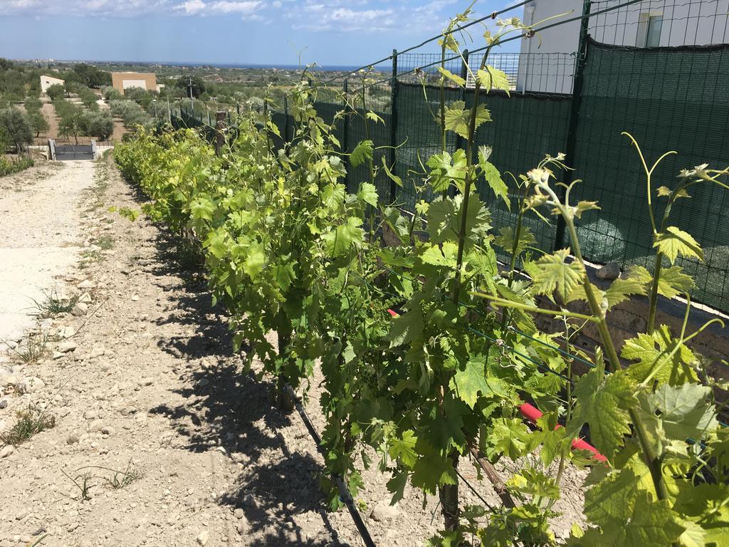 Agriturismoeloropizzuta Lido di Noto Exteriör bild